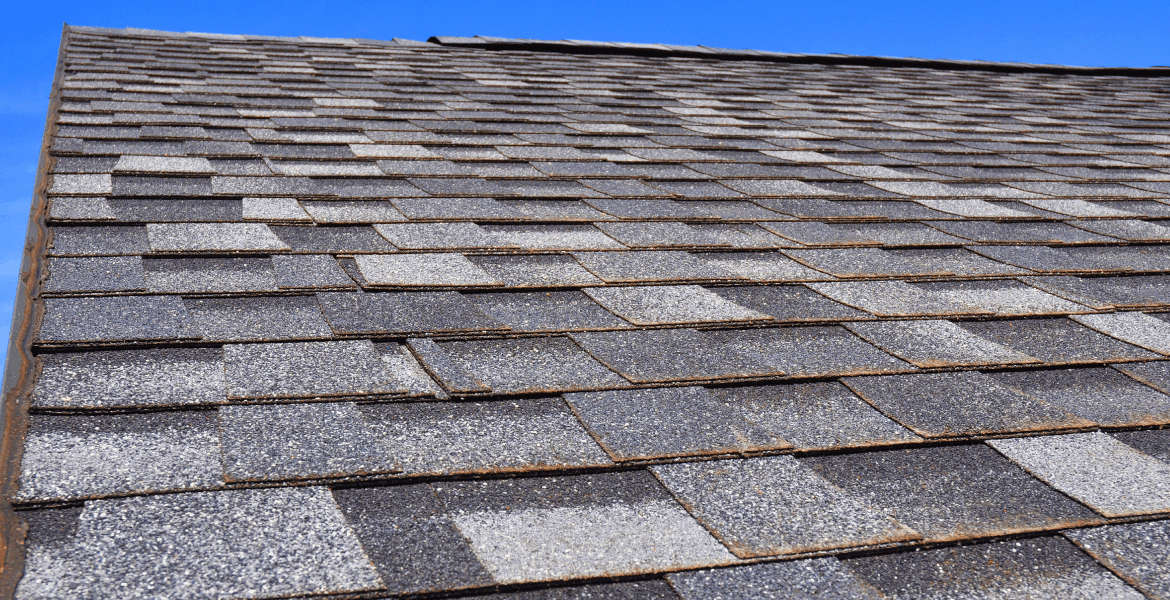  ProFix & Build 702